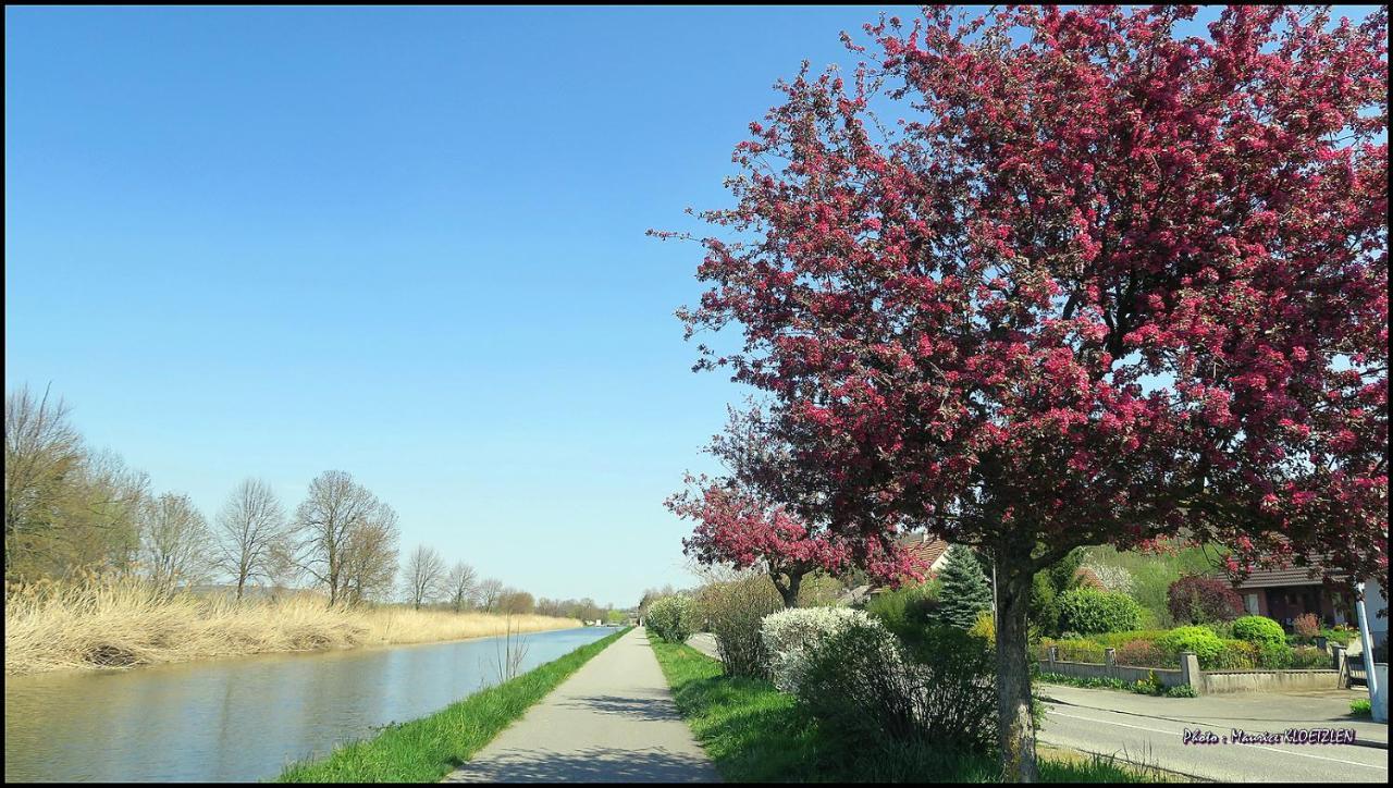 Gites D'Illfurth Exteriör bild